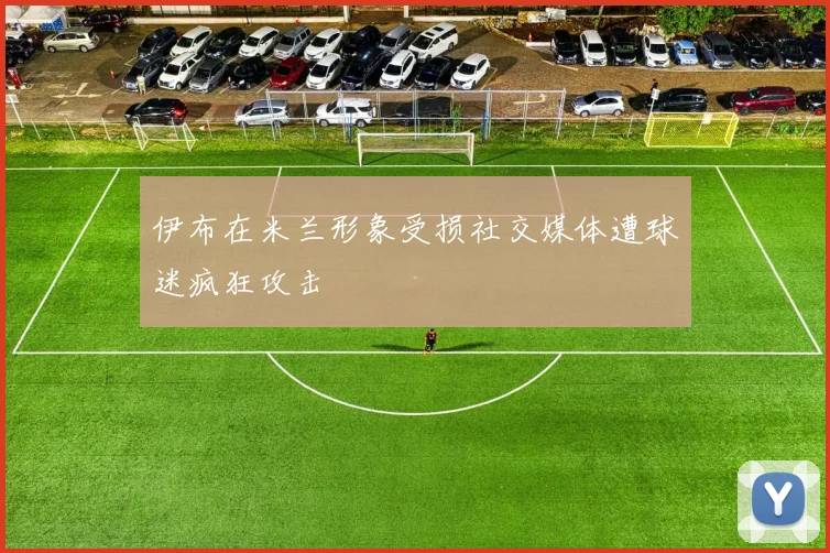 伊布在米兰形象受损社交媒体遭球迷疯狂攻击