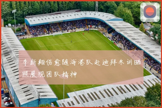 李新翔伤愈随海港队赴迪拜冬训晒照展现团队精神