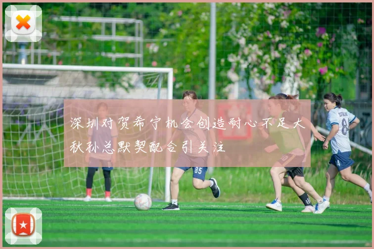 深圳对贺希宁机会创造耐心不足大秋孙总默契配合引关注